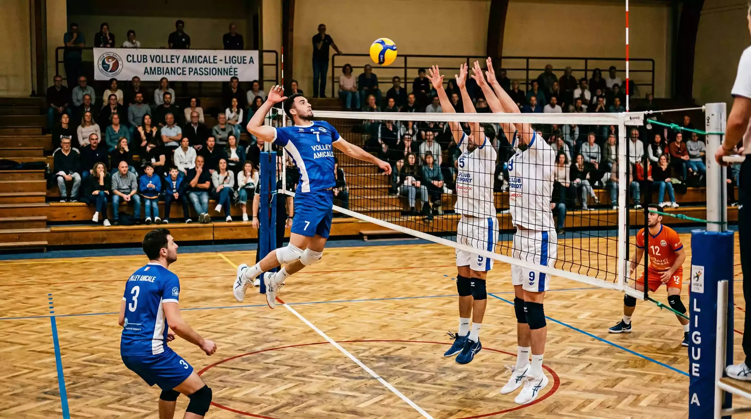 Match de Ligue A française de volleyball dans une salle de club français