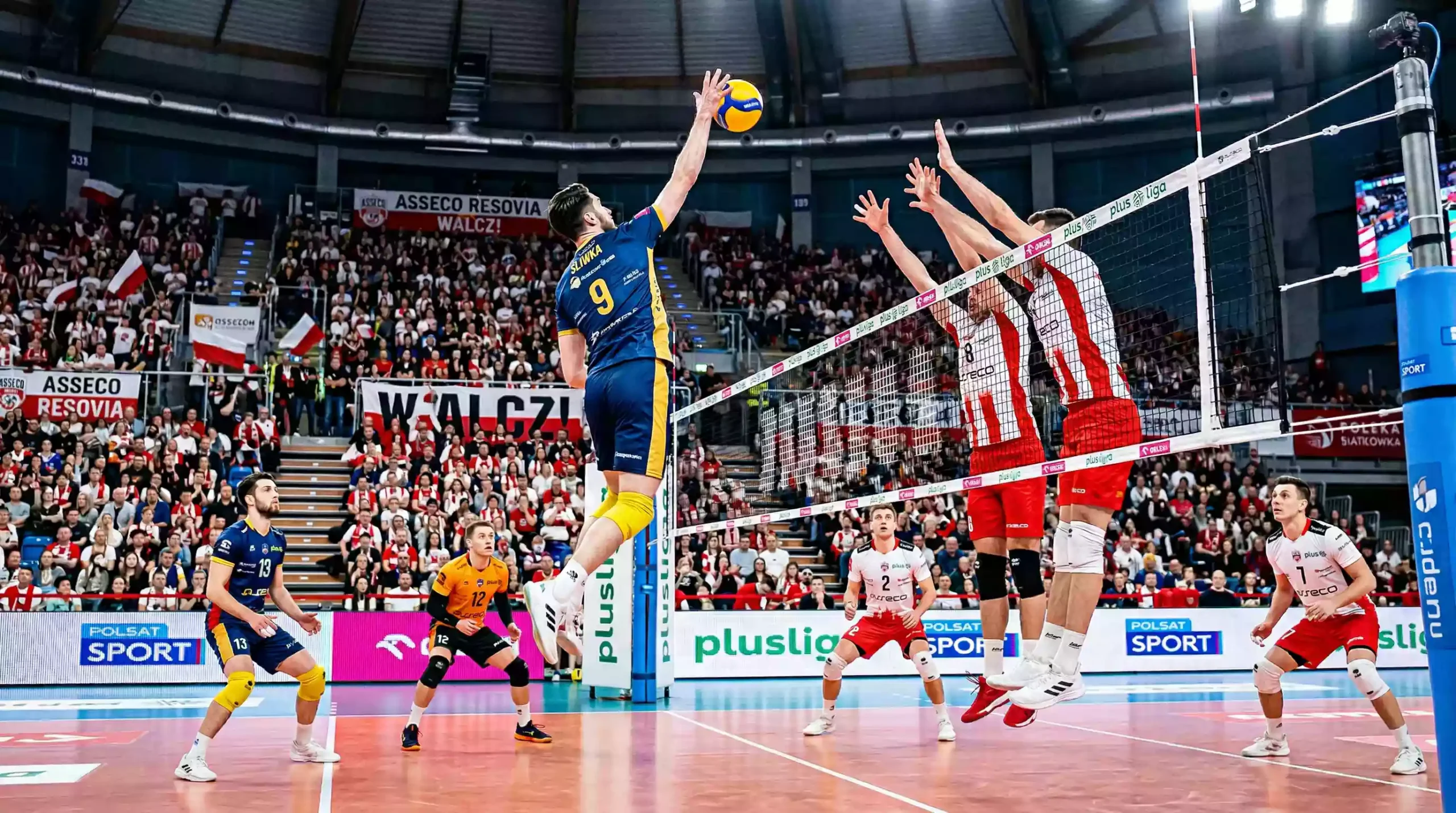 Match de PlusLiga polonaise avec des supporters enthousiastes dans une grande salle